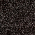 Limpopo Black Sand 10kg