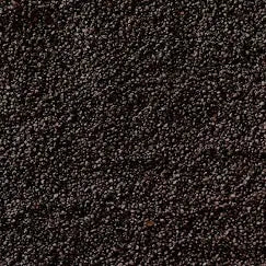 Limpopo Black Sand 10kg