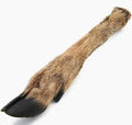 Natural Deer Legs