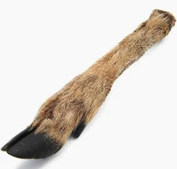 Natural Deer Legs