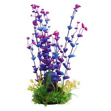 Aqua one Ogris Auribus Purple (L, 30cm)