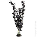 Aqua one Fan Palm Black (L, 40cm)