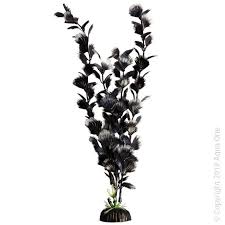 Aqua one Fan Palm Black (L, 40cm)