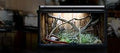 Arcadia Pro T5 UVB Kit, Dragon, 14% UV-B, 39 Watt