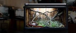 Arcadia Pro T5 UVB Kit, Dragon, 14% UV-B, 39 Watt