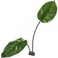 Komodo Artificial Plant - Large Guiana