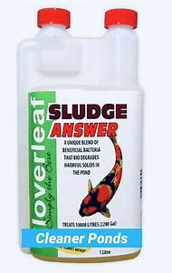 Cloverleaf Sludge Answer 1L