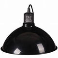 Repti Zoo Reflecting Lamp Dome -200w