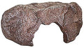 Komodo - Wide Entrance Rock Den - Medium