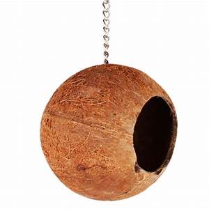 Java Coco Nest
