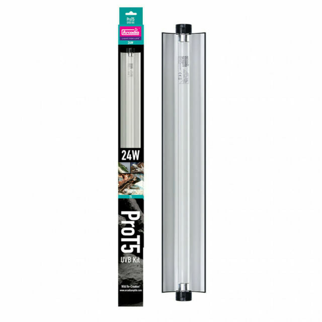 Arcadia Pro T5 UVB Kit Dragon 14% 24w