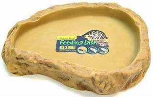 Feeding Dish - Large