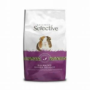 Science Selective Guinea Pig (10kg)