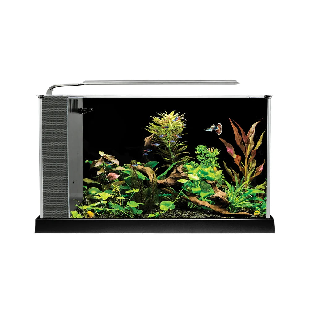 Fluval Spec Aquarium 19L - Black