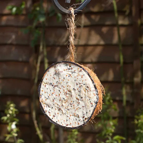 Suet To Go Half Coconut Feeder