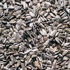 Sunflower Seed (5kg)