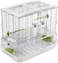 Vision Home for Birds