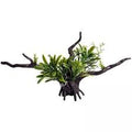 Ecoscape Bromeliad Driftwood Green