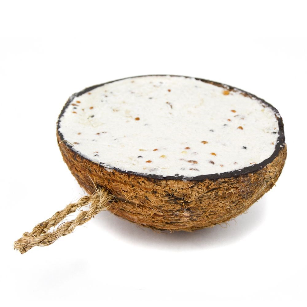 Suet To Go Half Coconut Feeder
