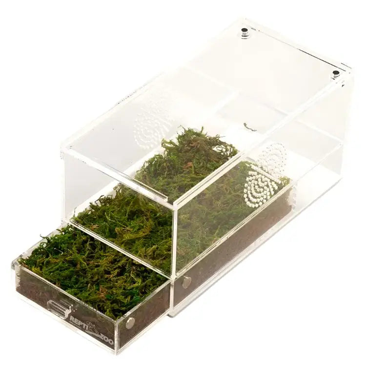 Repti Zoo Acrylic Case with Removable Tray
