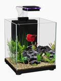 Betta Sanctuary Glass Aqurarium