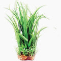 Aqua One Vibrance Hippuris with Gravel Base (M, 20cm)