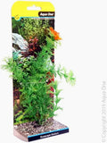 Aqua one Ecoscape Ambulia (M, 20cm)