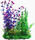 Betta Green & Purple Combi Plant 30cm
