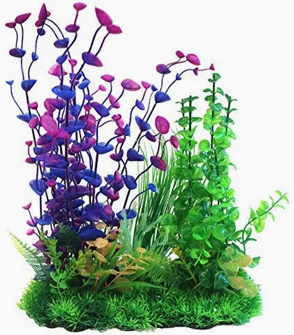Betta Green & Purple Combi Plant 30cm