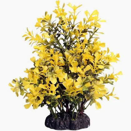 Aqua one Japanese Box Yellow (M, 20cm)