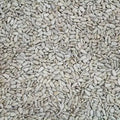Sunflower Heart (1kg)