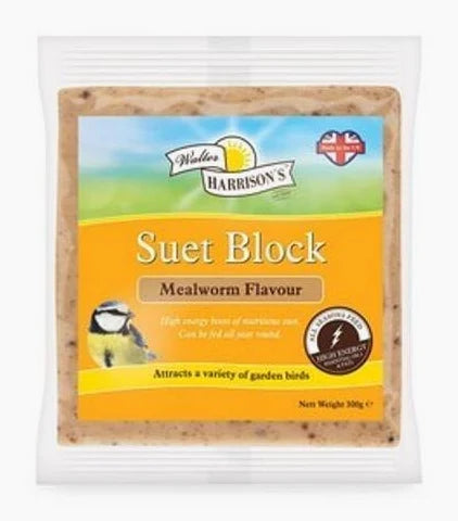 Suet Block With Mealworms