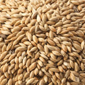 Canary Seed (20kg)