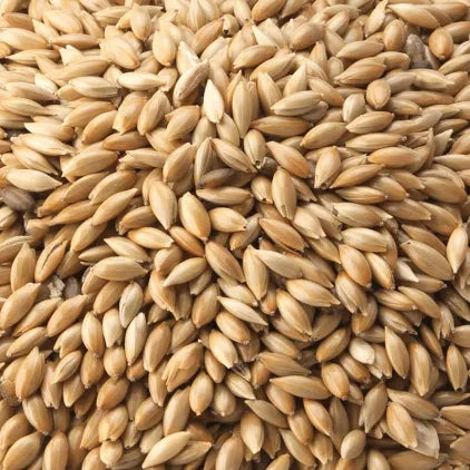 Canary seed (1kg)