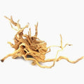 Aqua One Azalea Root (40-50cm)