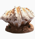 Aqua One Clam (Air Operated)