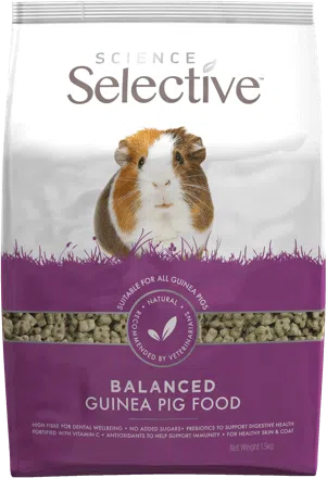 Science Selective Guinea Pig  (1.5kg)