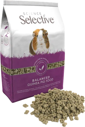 Science Selective Guinea Pig  (1.5kg)