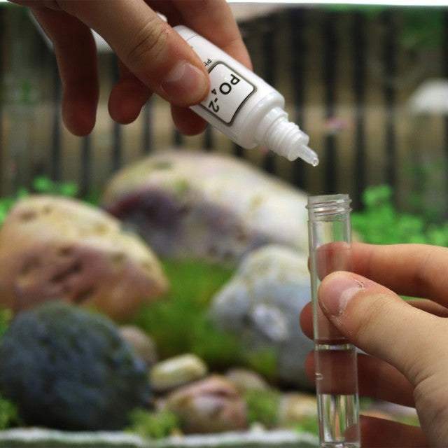 NT Labs Phosphate Test