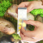 NT Labs Phosphate Test