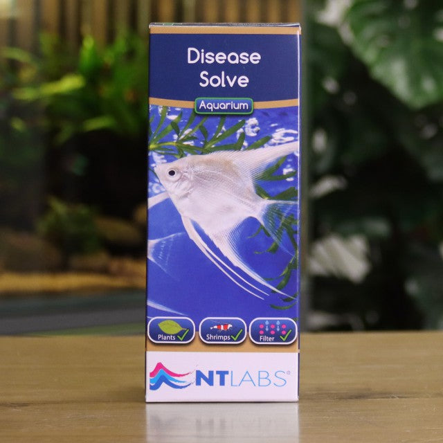 NT Disease Solve (100ml)