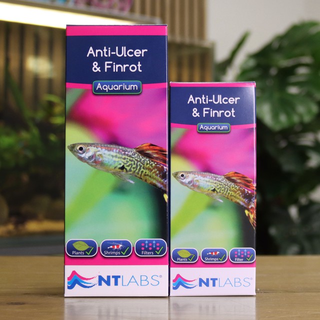 NT Aquarium Anti-Ulcer & Finrot (100ml)