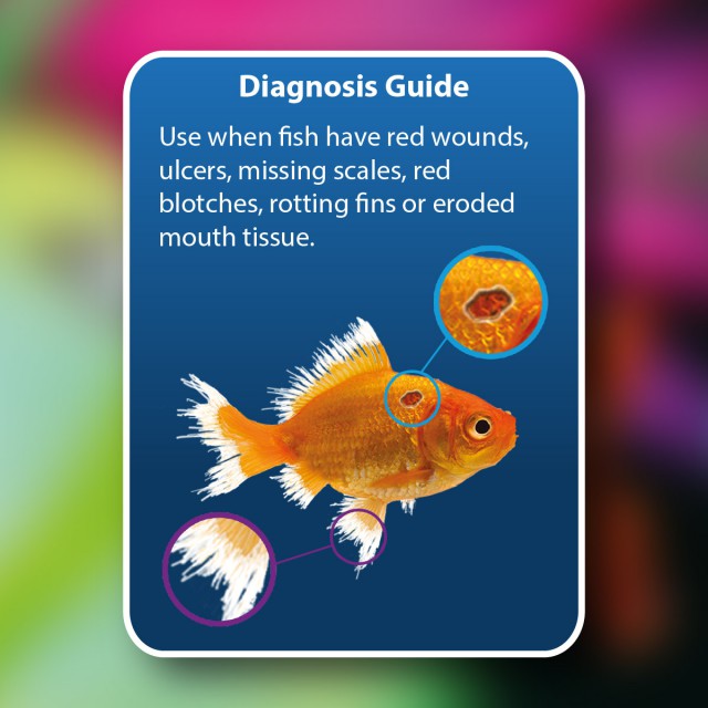 NT Aquarium Anti-Ulcer & Finrot (100ml)