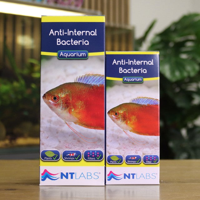 NT Aquarium Anti-Internal Bacteria (100ml)