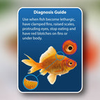 NT Aquarium Anti-Internal Bacteria (100ml)