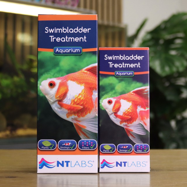 NT Labs Swimbladder Treatment (100ml)