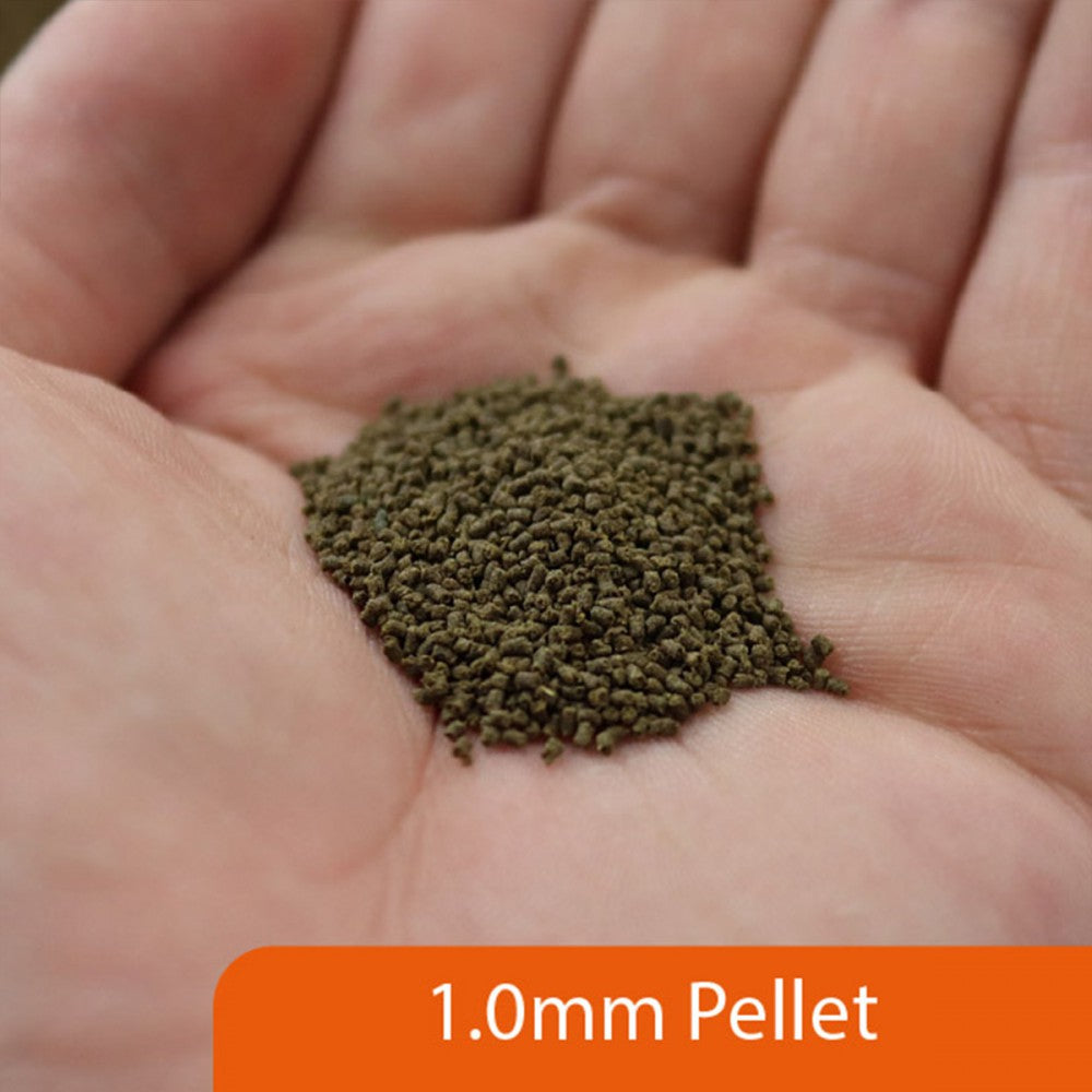 NT Labs Pro-F Tadpole Food