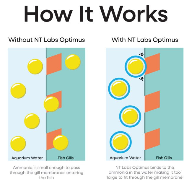 NT Labs Optimus (100ml)