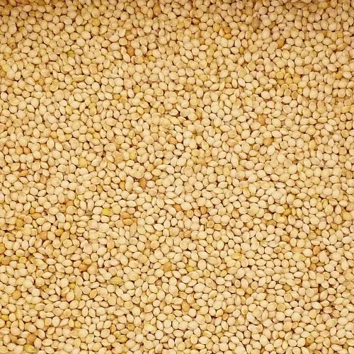 Budgie Seed (5kg)