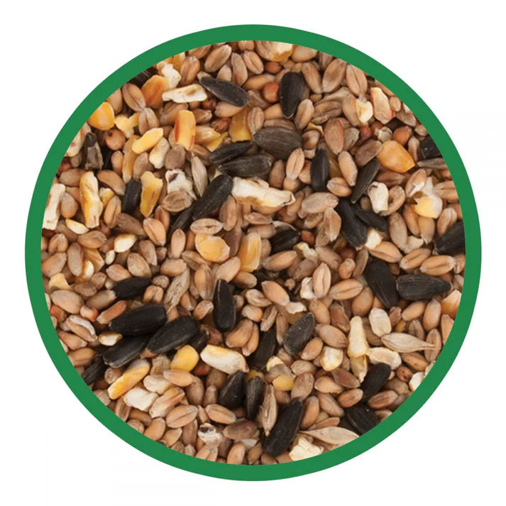 Walter Harrisons Premier Wild Bird Mix (2kg)